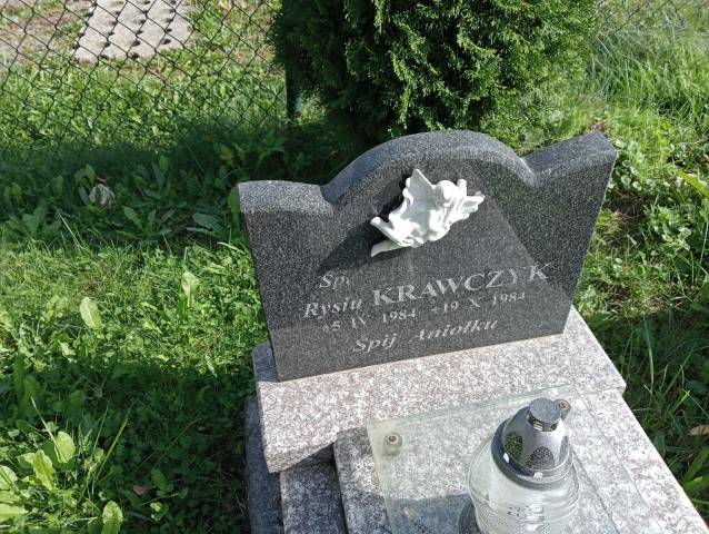 Ryszard Krawczyk 1984 Chełmiec - Grobonet - Wyszukiwarka osób pochowanych